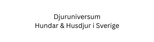 djuruniversum hundar & husdjur i sverige
