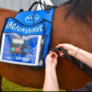 Magnawave Pemf Spiro Klick till salu